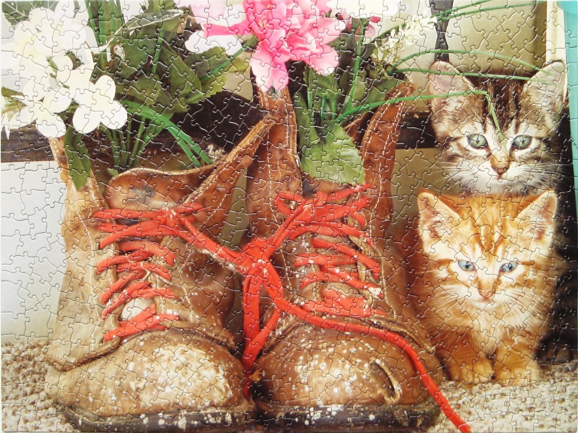 Two kittens sitting beside old brown leather boots filled with pink and white flowers.