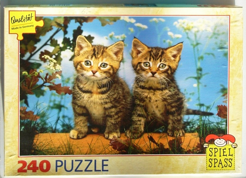 Two identical tabby kittens sitting side-by-side in a grassy, floral garden setting.