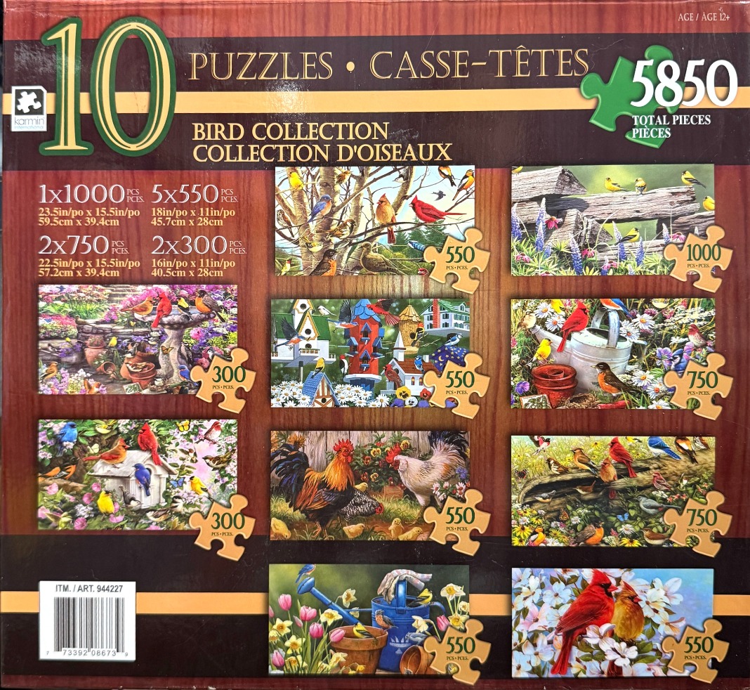 A collection of ten diverse bird-themed illustrations arranged on a wood-grain background.