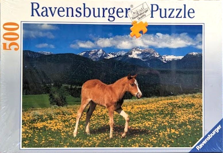 A young brown foal walking through a wildflower meadow against a backdrop of snow-capped mountains.
