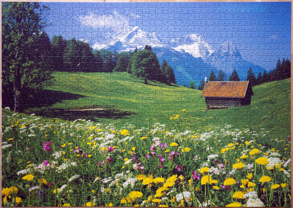 A lush Alpine meadow with a small wooden hut, wild flowers, and snow-capped mountains in the background.