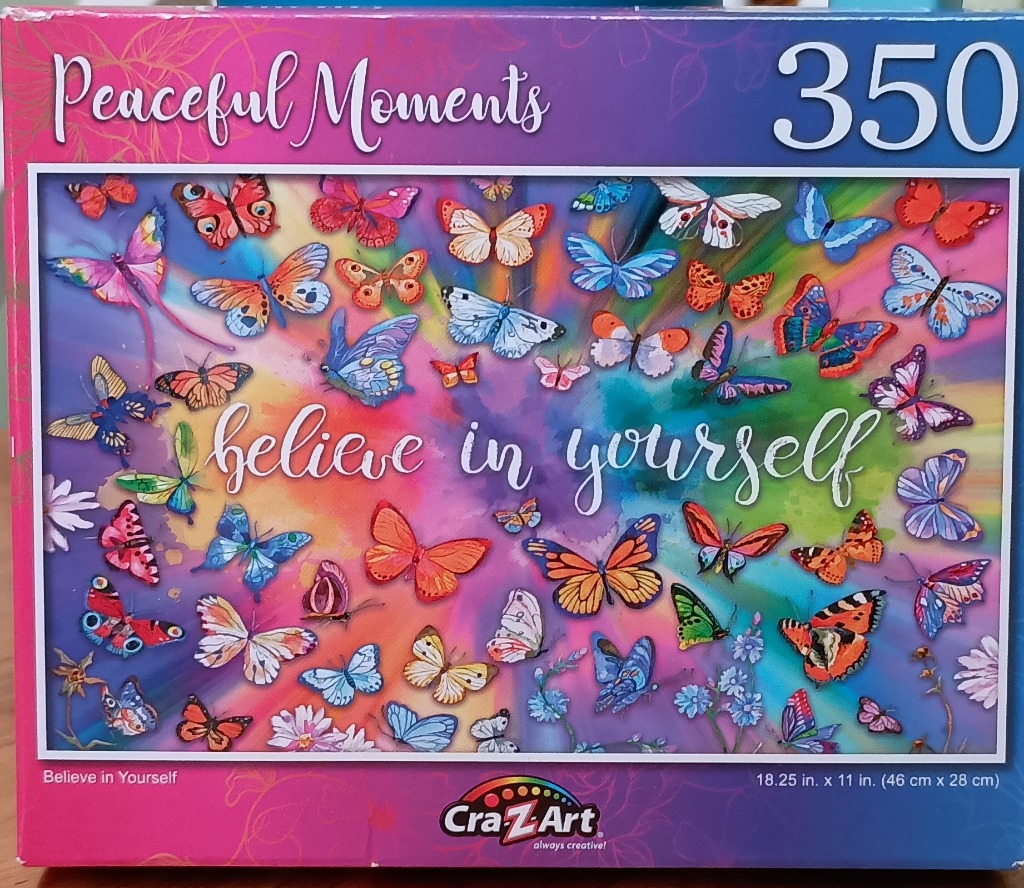 An illustration featuring dozens of colorful butterflies surrounding the handwritten-style text 'believe in yourself'.