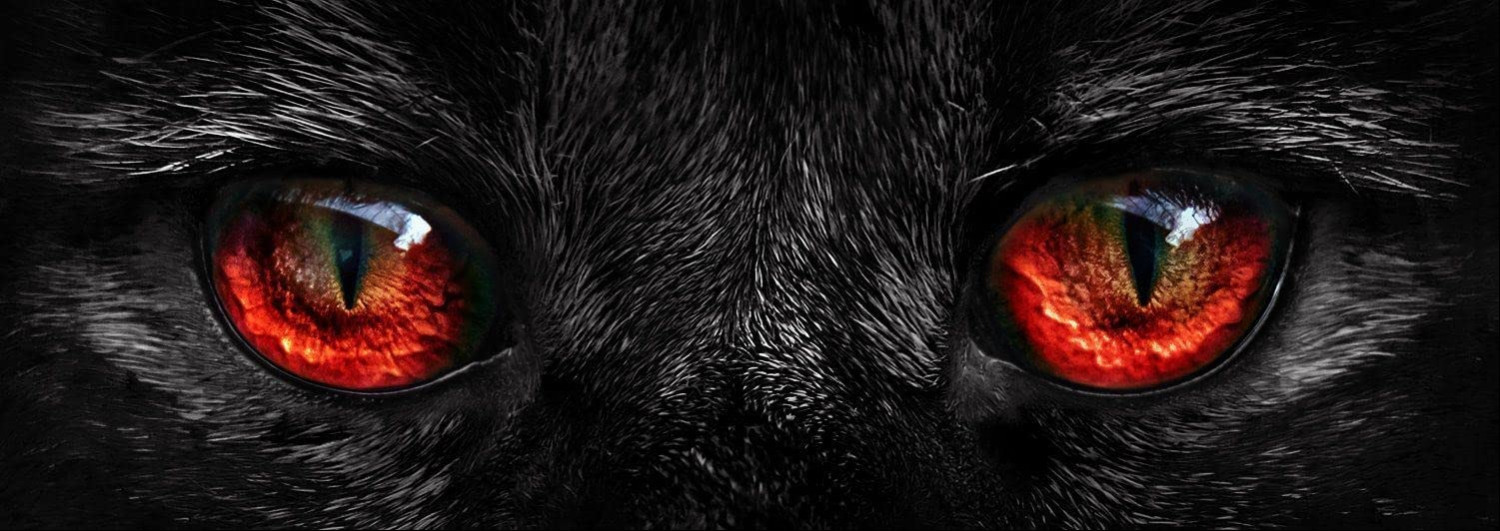 A close-up, panoramic view of a black cat's glowing, fiery red eyes.