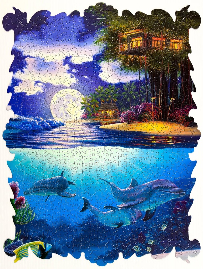 A split-view fantasy illustration showing a moonlit tropical island above and a dolphin-filled ocean below.