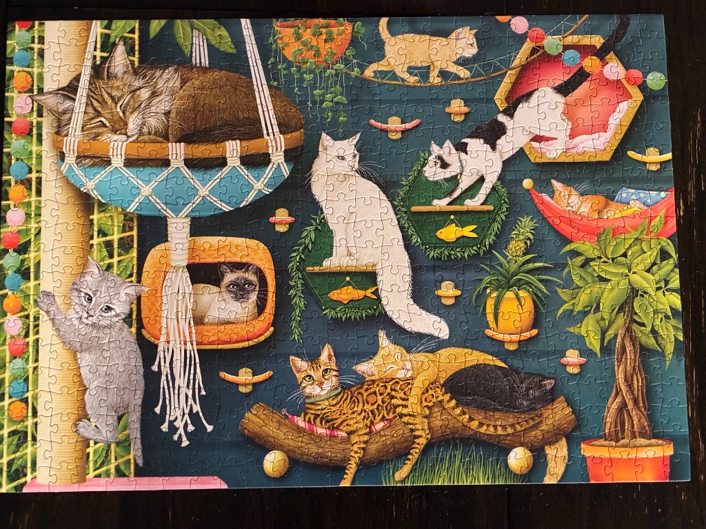 A whimsical illustration of many cats playing and sleeping in a modern cat-themed indoor climbing environment.
