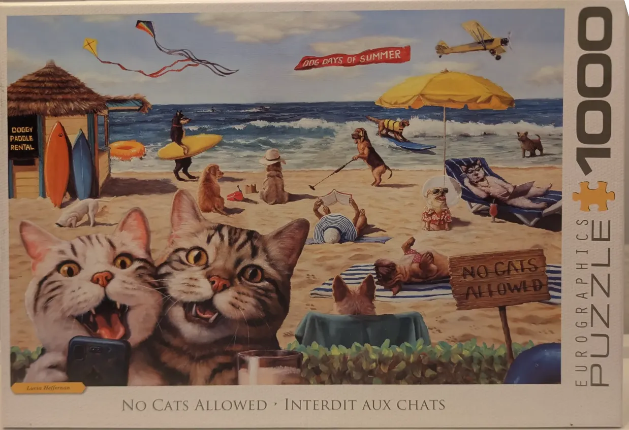 Two cats taking a selfie on a beach filled with dogs.