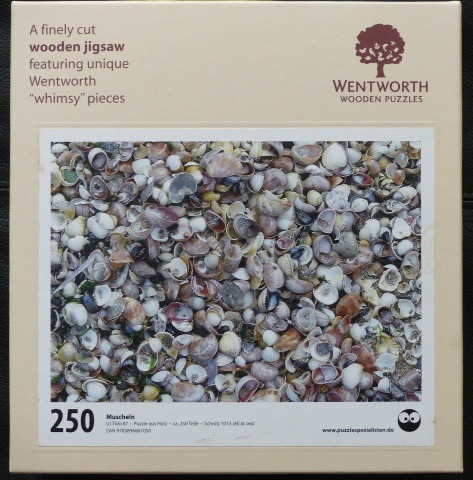 A close-up photograph of a dense collection of small, scattered seashells on a beach.