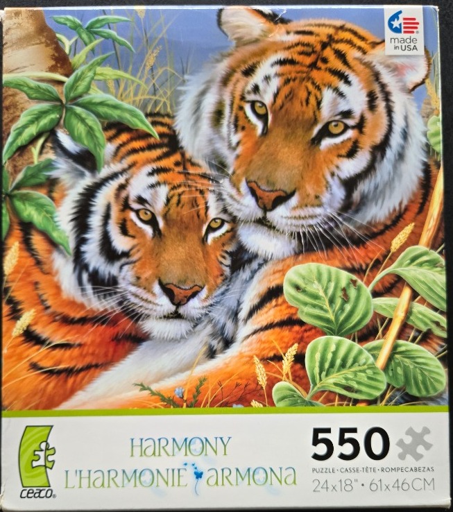 Two tigers resting together in a jungle setting.