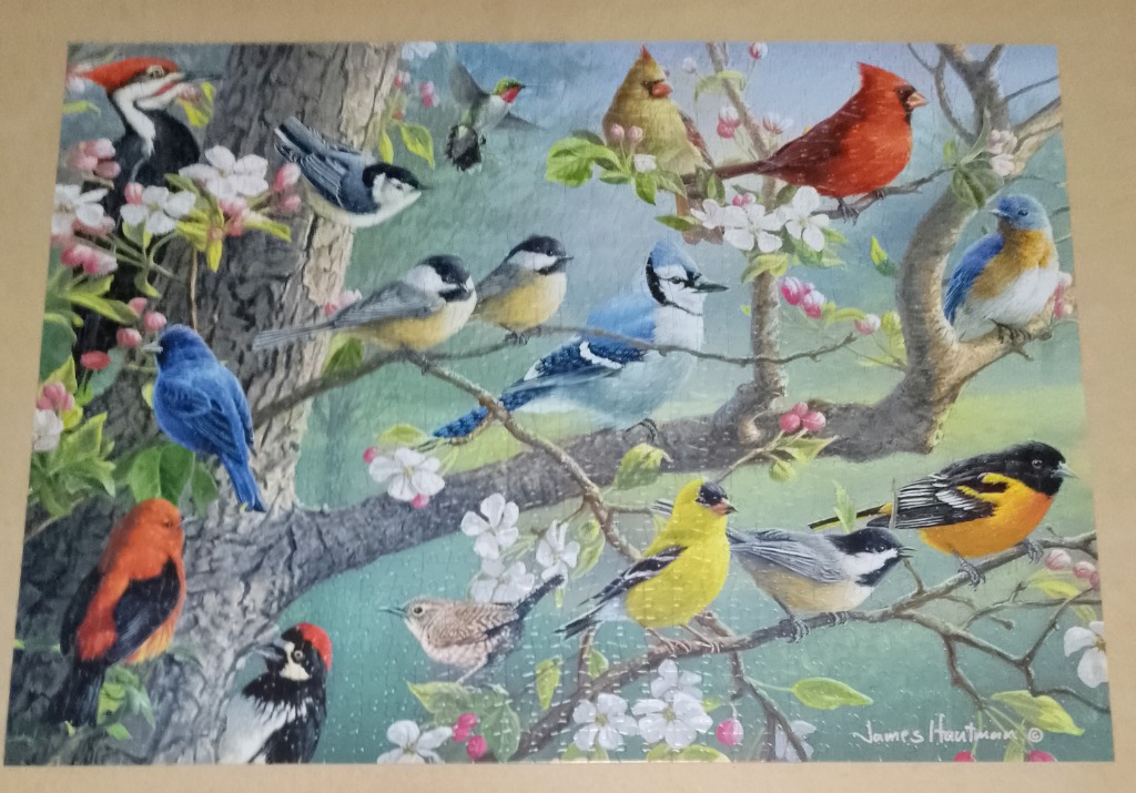 A collection of various colourful songbirds perched on flowering tree branches.