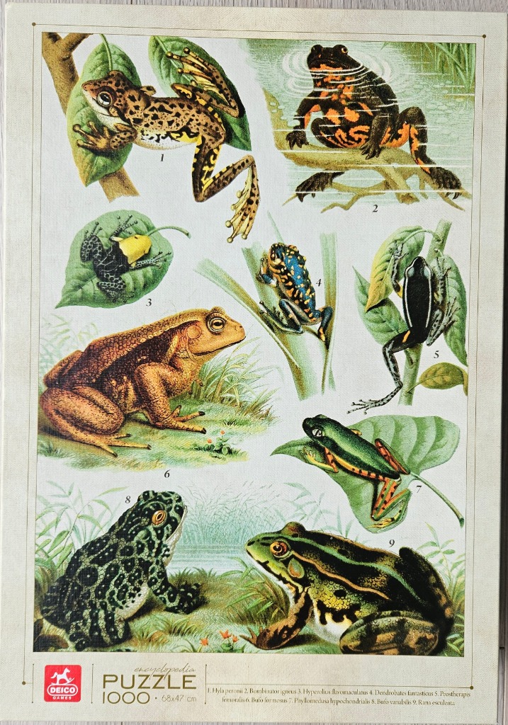 Scientific illustration showing nine different species of frogs and toads on a pale background.