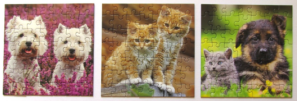 Three adjacent square images featuring a pair of Westie dogs, two orange kittens, and a grey kitten with a German Shepherd.
