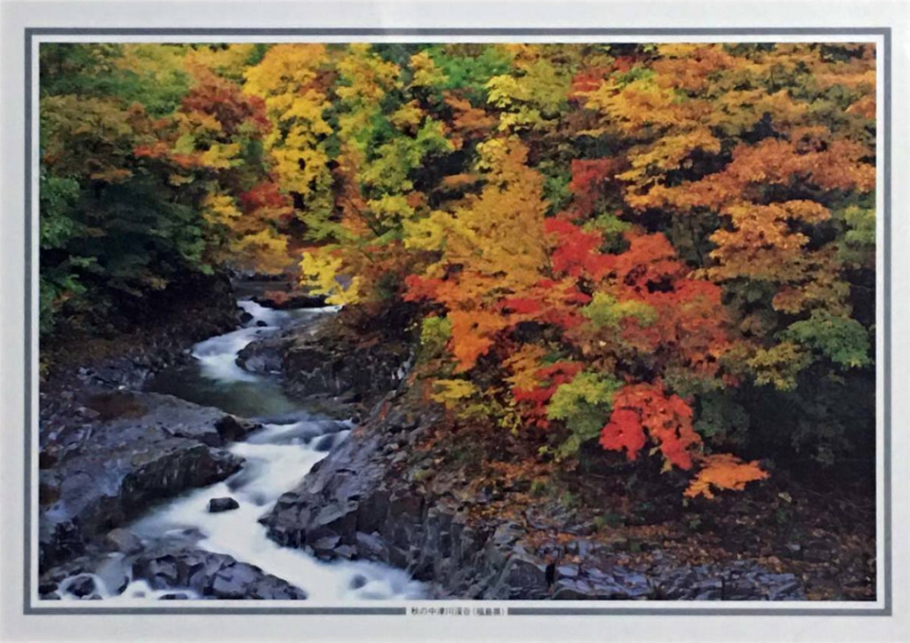 A scenic photograph of a stream flowing through a forest with vibrant autumn foliage in Japan.