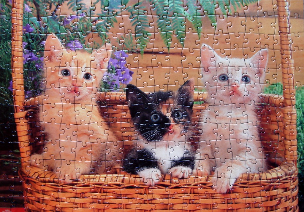 Three kittens sitting inside a wicker basket with flowers in the background.