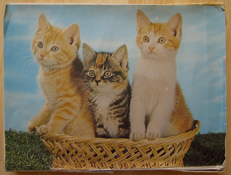 Three kittens sitting in a woven wicker basket against a blue sky and grassy background.