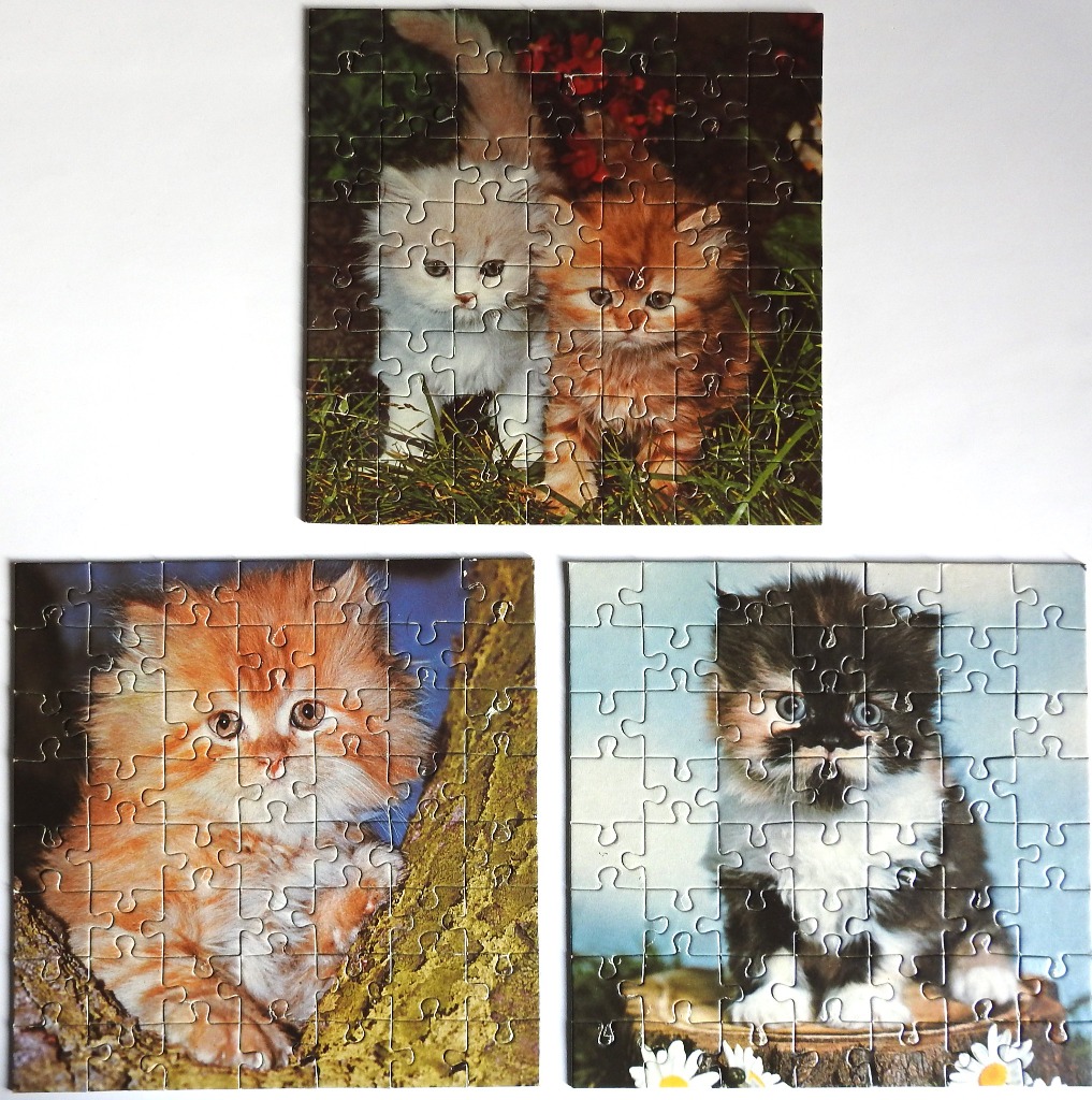 Three separate images of fluffy kittens in natural settings