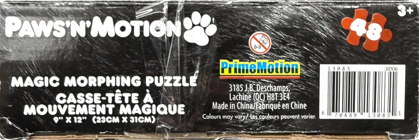 Paws'n'Motion