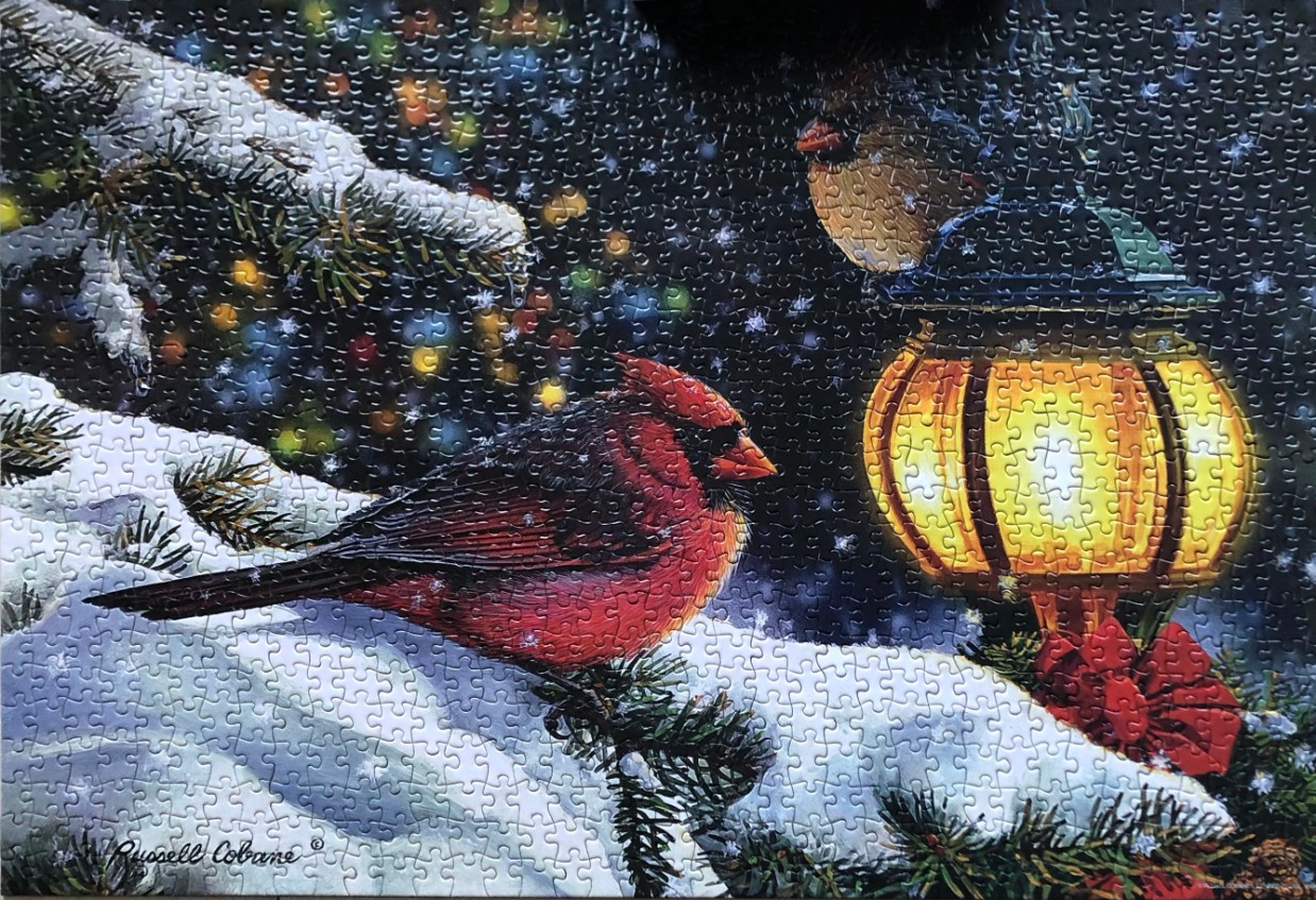 A vibrant male cardinal perched on a snowy pine branch next to a glowing lantern in a winter night scene.