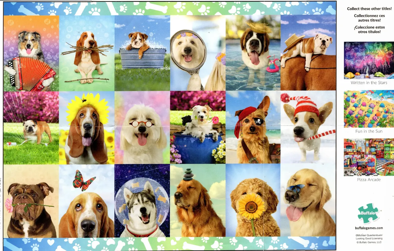 A grid of eighteen humorous portraits of various dog breeds engaged in playful and whimsical activities.