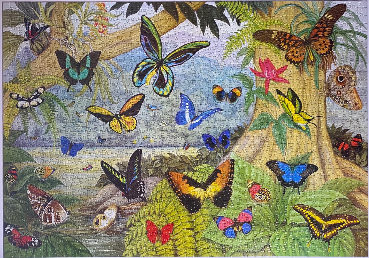 A vibrant tropical jungle scene filled with many colorful butterflies of various species.
