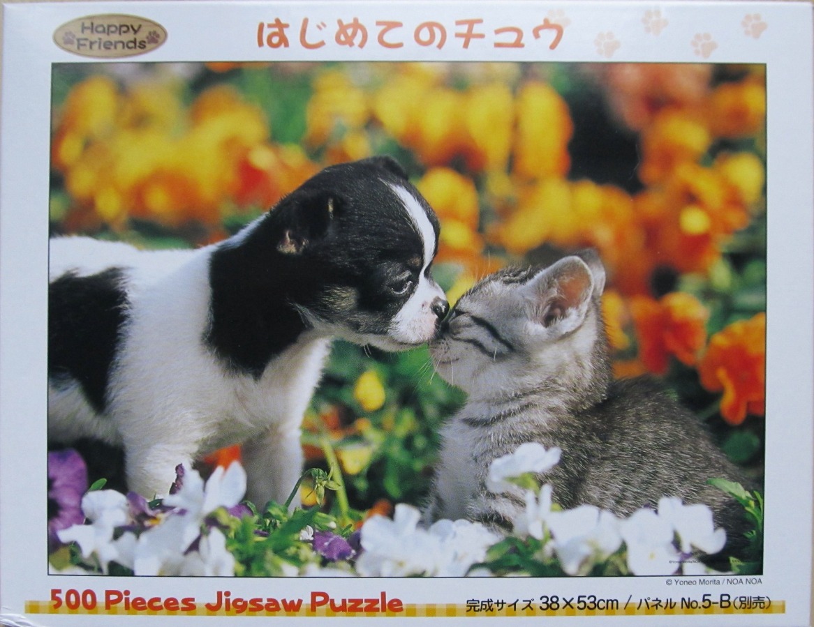 A puppy and a kitten touching noses in a garden of yellow and white flowers.