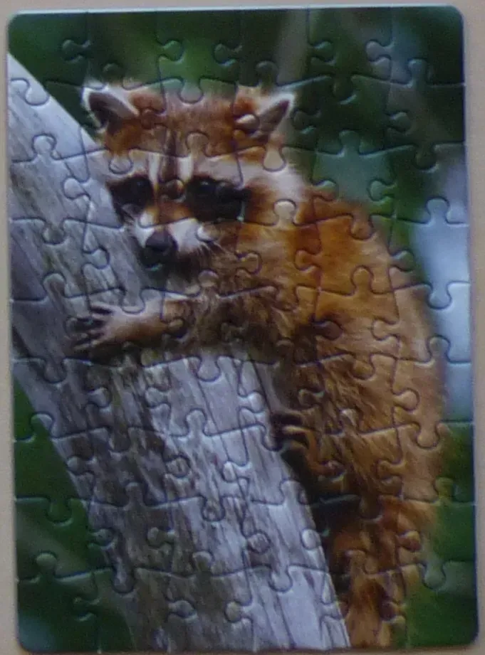 A close-up photograph of a raccoon clinging to a textured tree trunk.