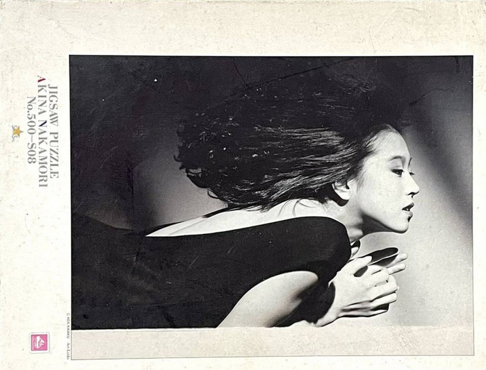 Black and white portrait of Akina Nakamori in profile with flowing hair