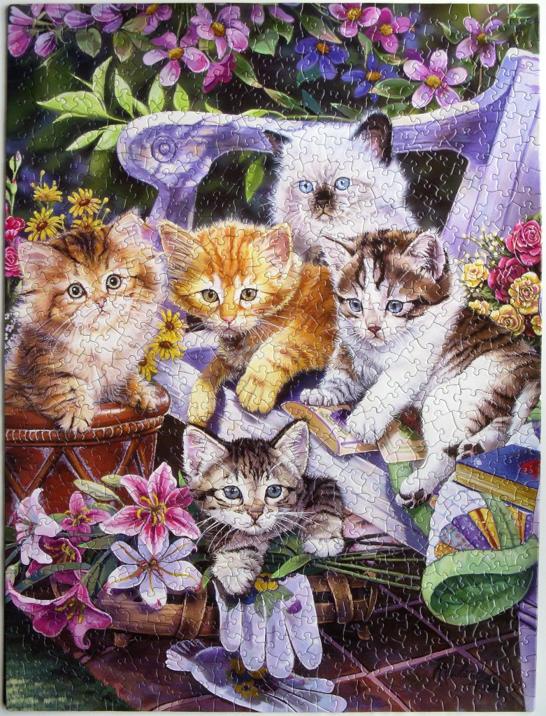 Four fluffy kittens sitting in a vibrant flower garden on and around a rustic purple wooden bench.