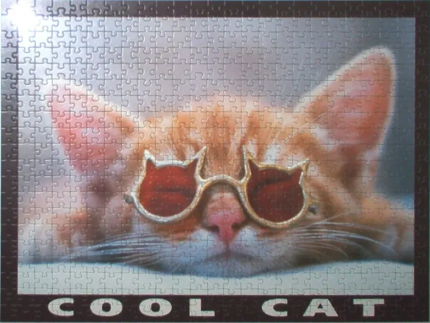 An orange kitten wearing cat-shaped sunglasses with red lenses, with the text 'COOL CAT' at the bottom.