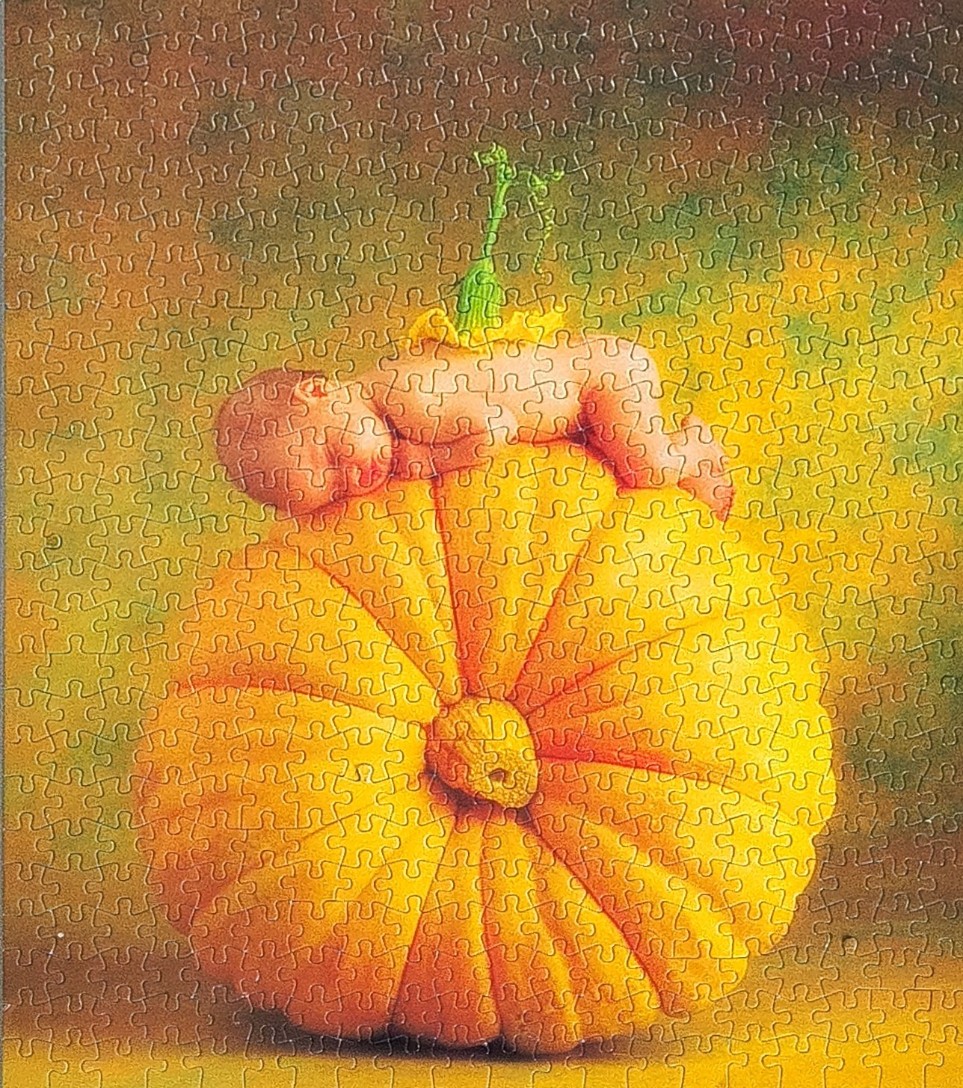A newborn baby sleeping curled up on top of a large, round, bright orange pumpkin.