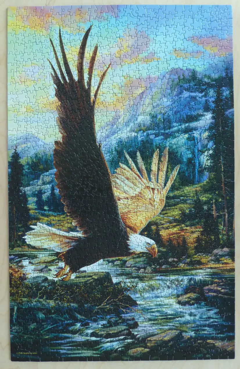 A bald eagle soaring over a mountain stream at sunset.