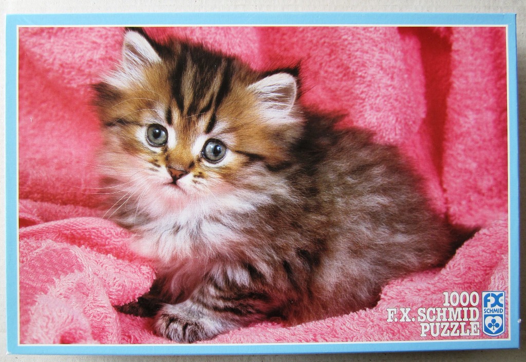 A fluffy brown and black tabby kitten resting on a bright pink towel.