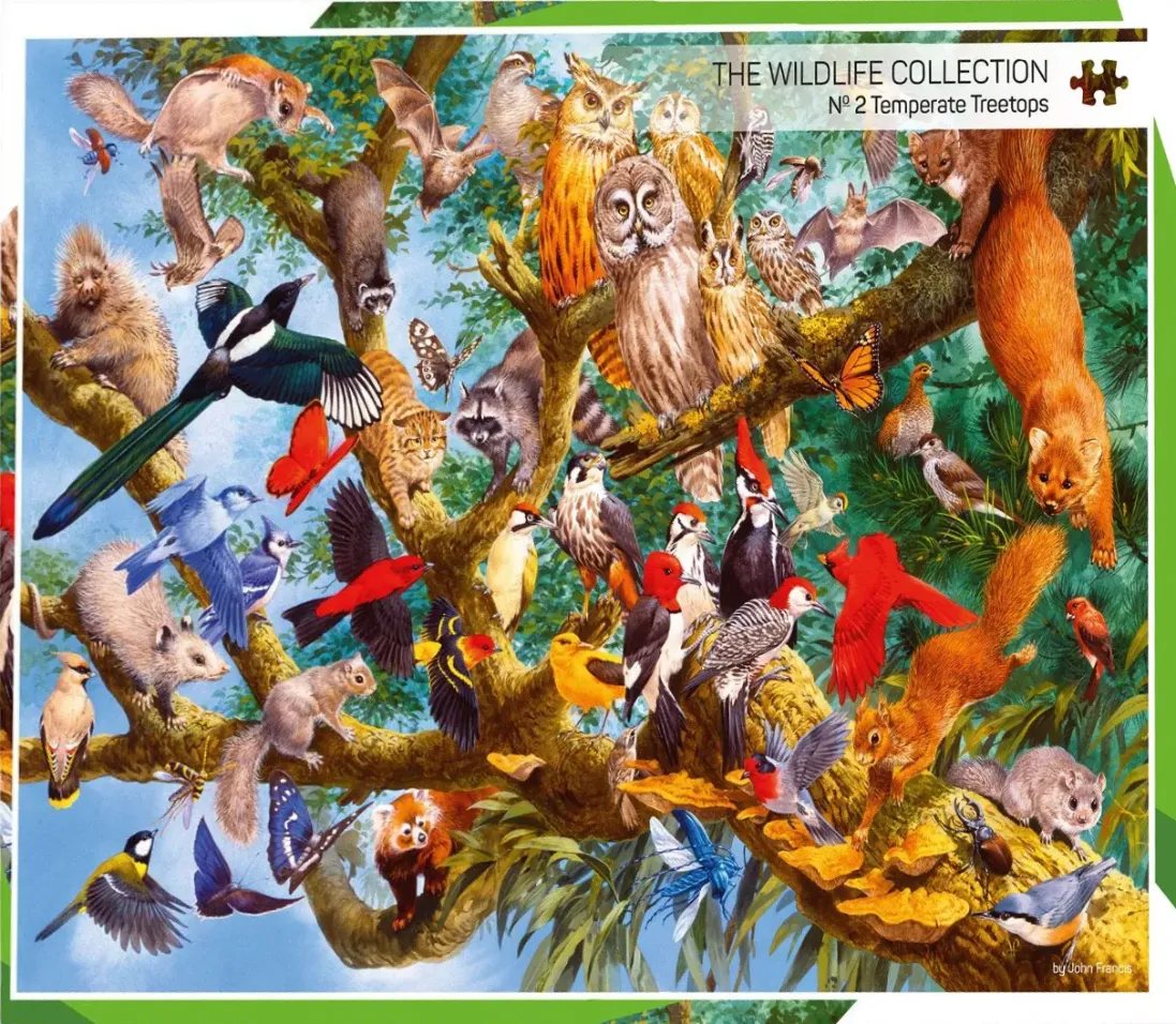 A detailed illustration of diverse forest wildlife inhabiting a large, sprawling tree against a bright blue sky.