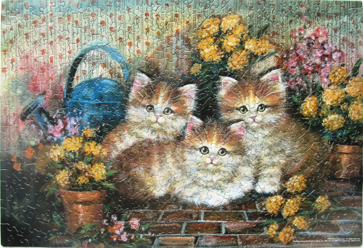Three fluffy calico kittens sitting in a flower garden near a blue watering can.
