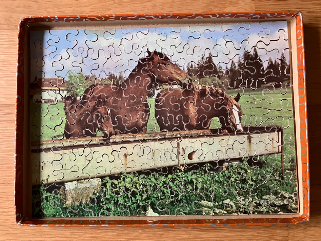 Three brown horses gathered around a metal water trough in a grassy pasture.