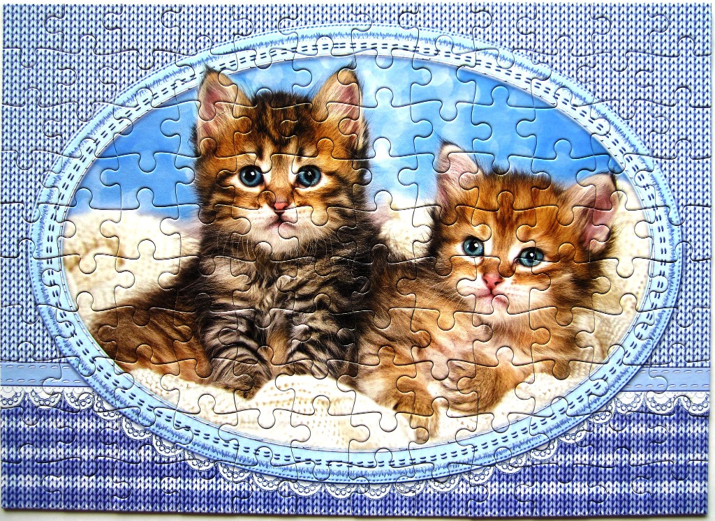 Two fluffy kittens sit side-by-side inside a decorative blue oval frame.