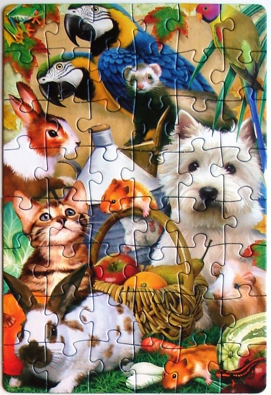 A collection of various domestic and exotic animals gathered together including a cat, dog, rabbits, and parrots.