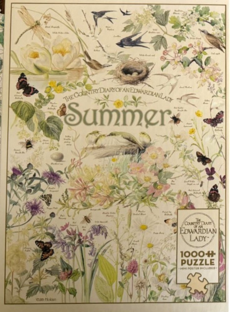 A vintage botanical and wildlife illustration labeled Summer featuring birds, insects, and wildflowers.