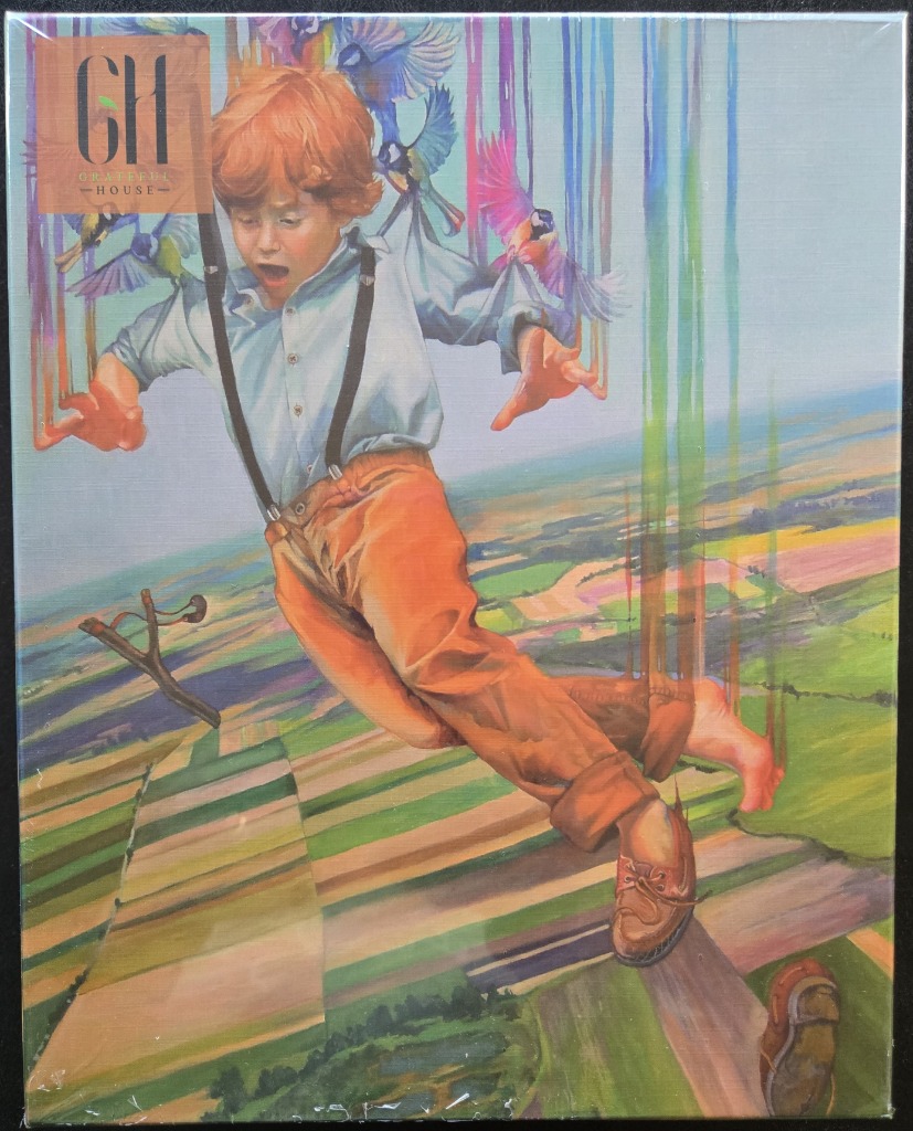 Oil painting of boy falling, surrounded by colorful birds and rainbow streaks over a landscape.