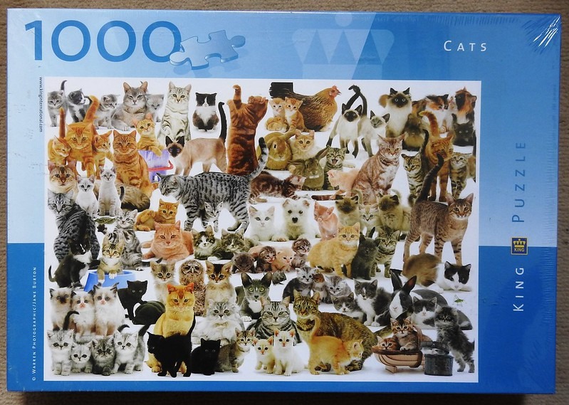 A dense collage of dozens of cats of various breeds, colors, and poses against a solid white background.