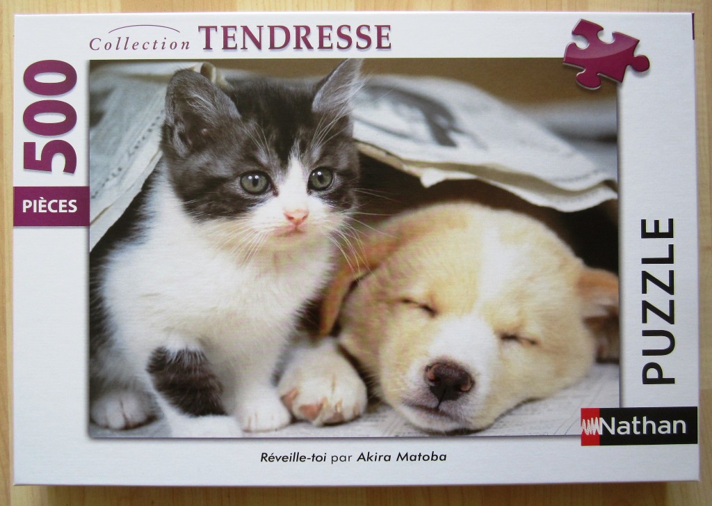 A black and white kitten sitting alert next to a sleeping light-colored puppy, both tucked under a folded newspaper.