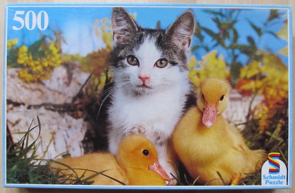 A kitten sitting with two small yellow ducklings in a sunny garden