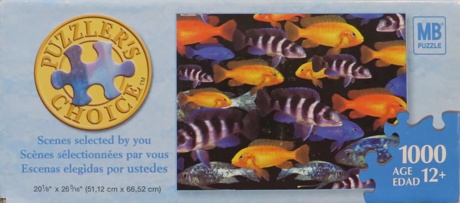 School of Fish