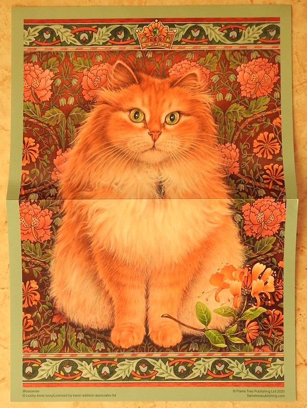 A long-haired ginger cat sitting against a backdrop of dark floral patterns.