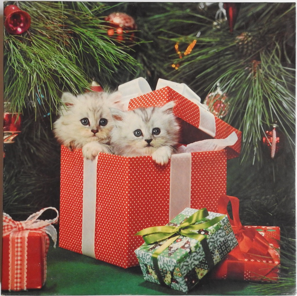 Two fluffy white kittens peering out of a bright red polka-dot gift box beneath a Christmas tree.