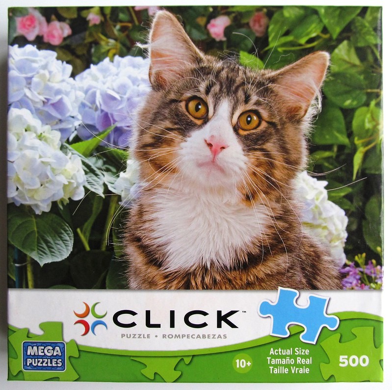 A close-up photograph of a fluffy brown tabby cat with bright amber eyes surrounded by purple and white hydrangea flowers.