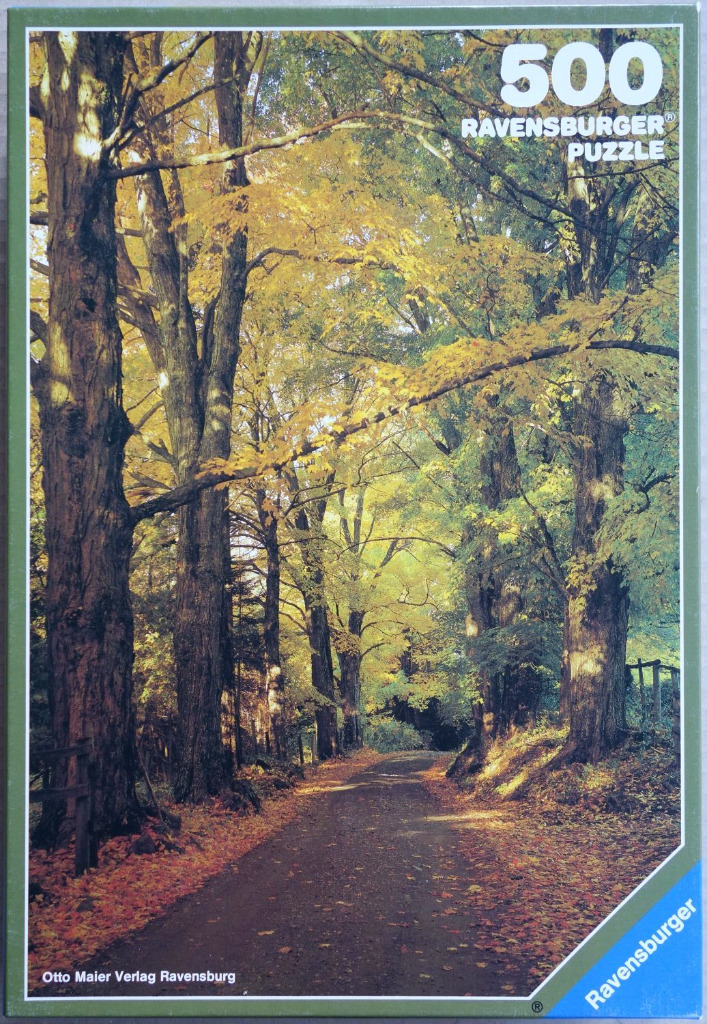 A peaceful, sunlit country road lined with tall autumn trees featuring yellow and green foliage.
