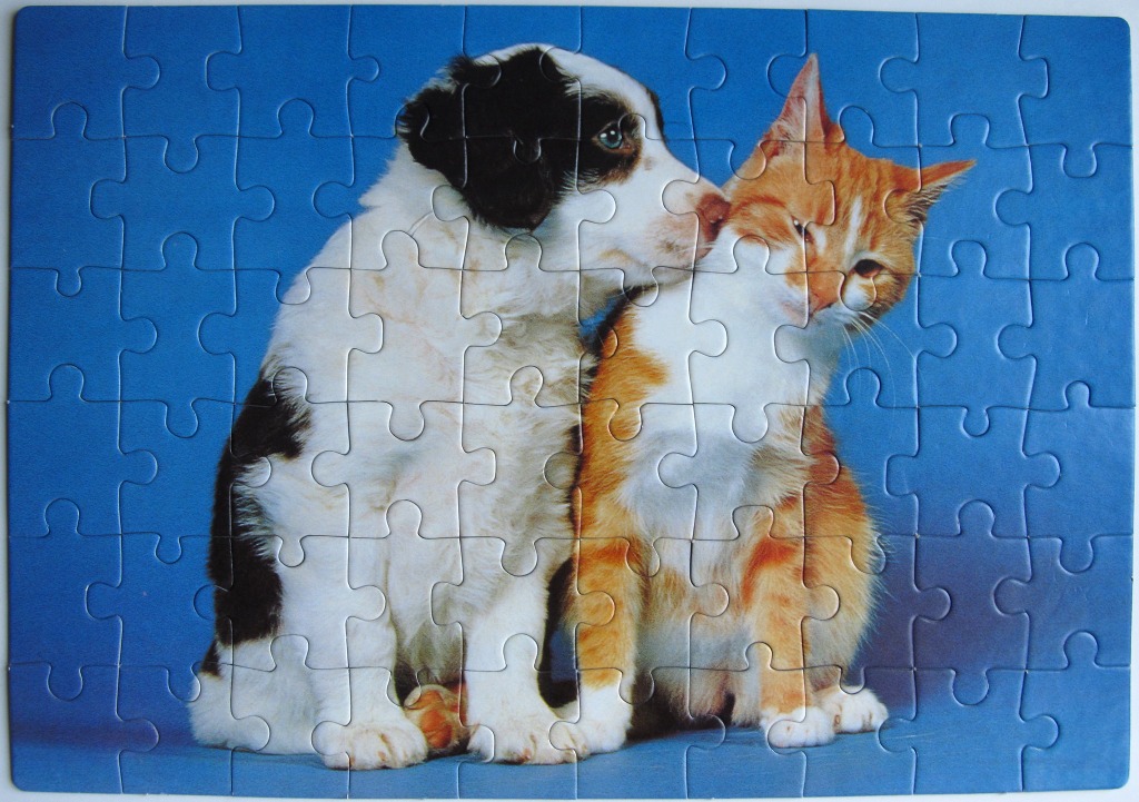 A puppy nuzzling a ginger and white cat against a solid blue background.
