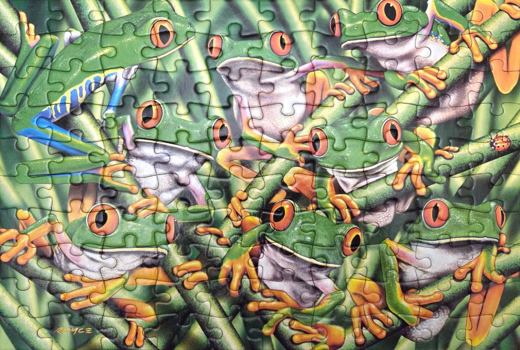 A vibrant illustration featuring six red-eyed tree frogs perched on angled green branches.