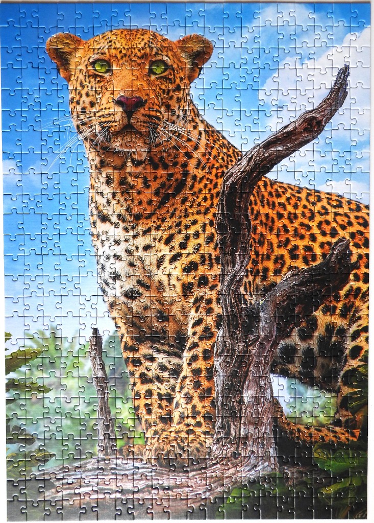 Close-up portrait of a leopard perched on a dead tree branch against a blue sky.