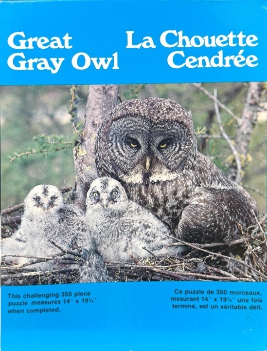 A close-up photograph of an adult Great Gray Owl sitting in a nest with two fluffy owlets.